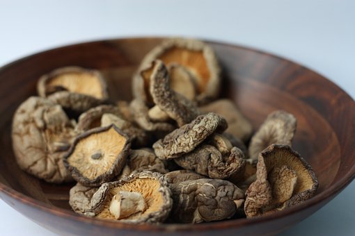 mushroom supplements for weight loss
