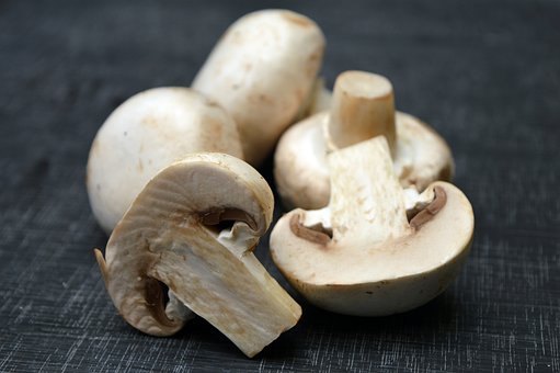 best mushroom supplement for brain health